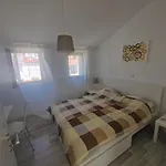 Vacation Dora